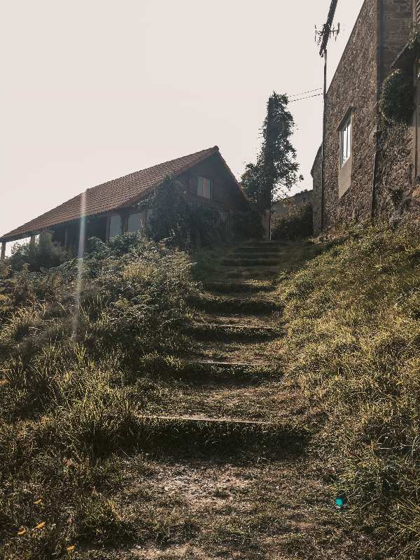 camino-dos-faros-magical-stairs camino-dos-faros-magical-stairs
